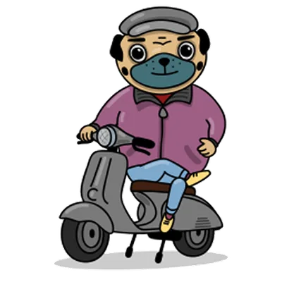 Pug sticker 6