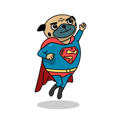 Pug sticker 11