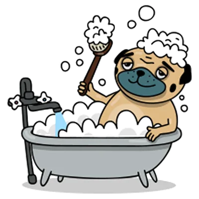 Pug sticker 29